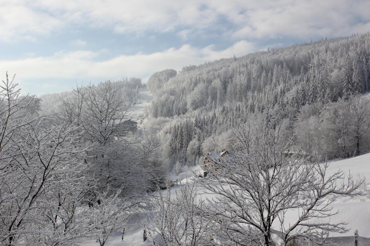 Cudne Manowce Bed & Breakfast Wisła Dış mekan fotoğraf