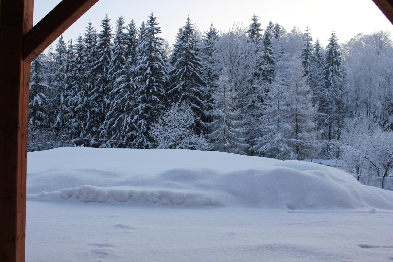 Cudne Manowce Bed & Breakfast Wisła Dış mekan fotoğraf
