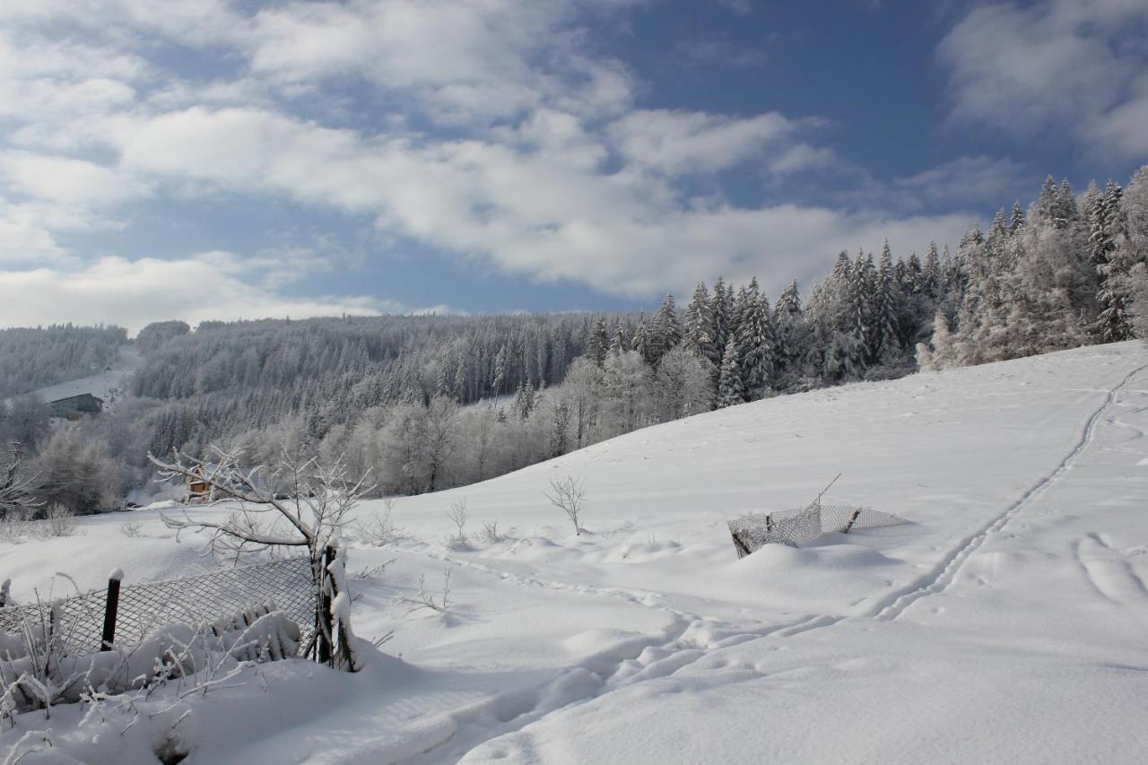 Cudne Manowce Bed & Breakfast Wisła Dış mekan fotoğraf
